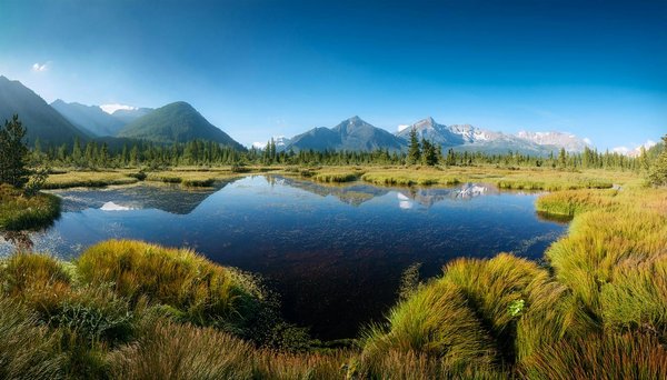 Step back in time: explore the uk"s enchanting victorian steam train adventures for tourists